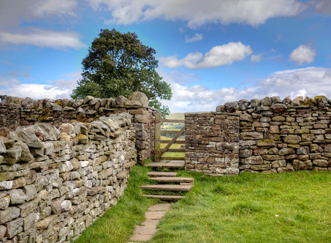 Dry Stone Walling Yorkshire